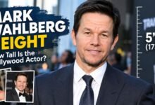 mark wahlberg height